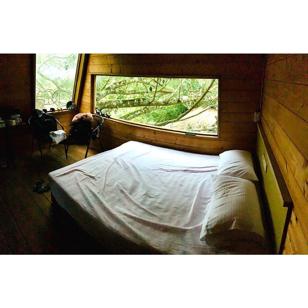 卡米沙度樹屋睡床與窗戶