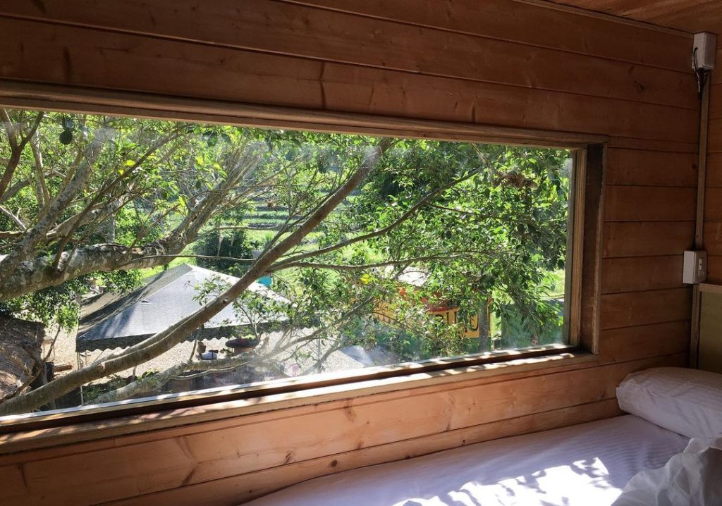 卡米沙度樹屋窗景