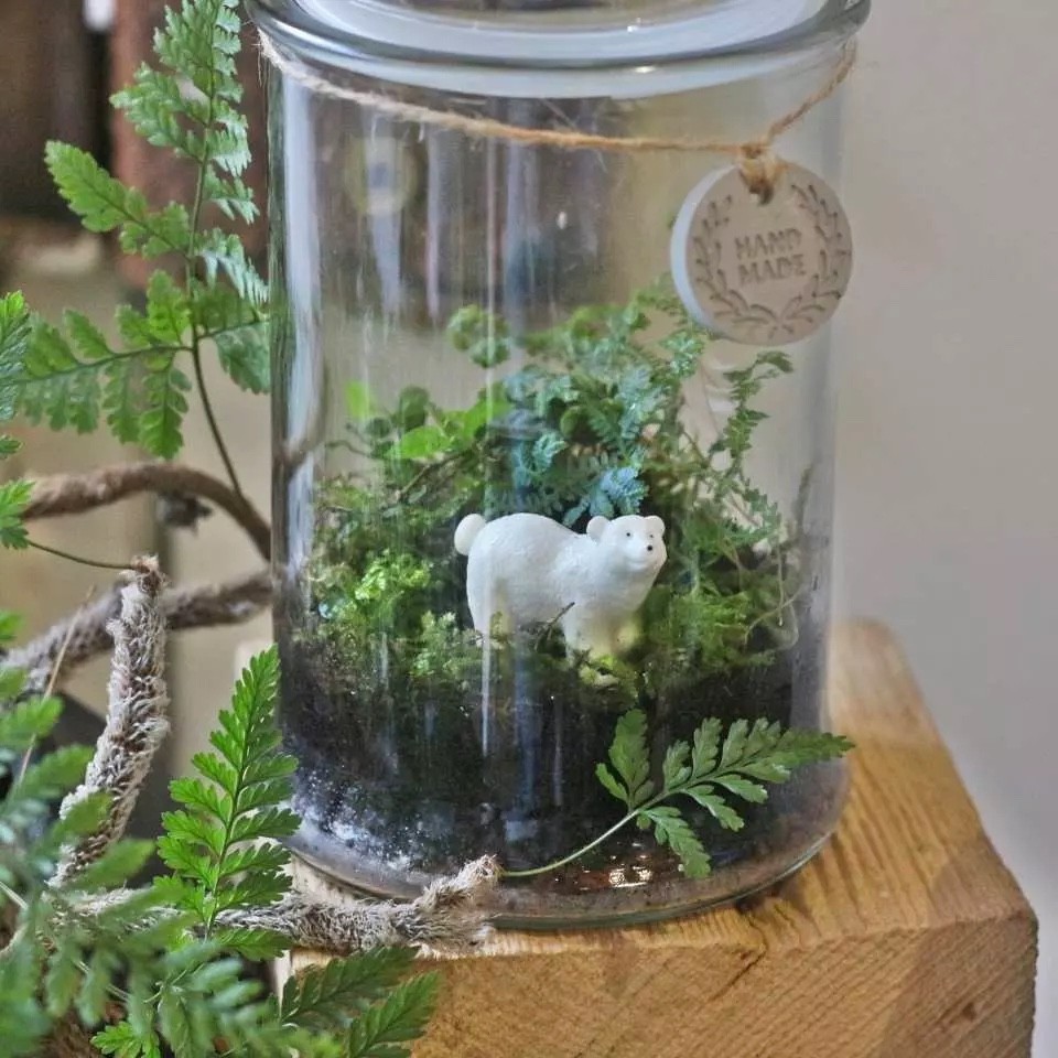 原生態工作室植物生態瓶
