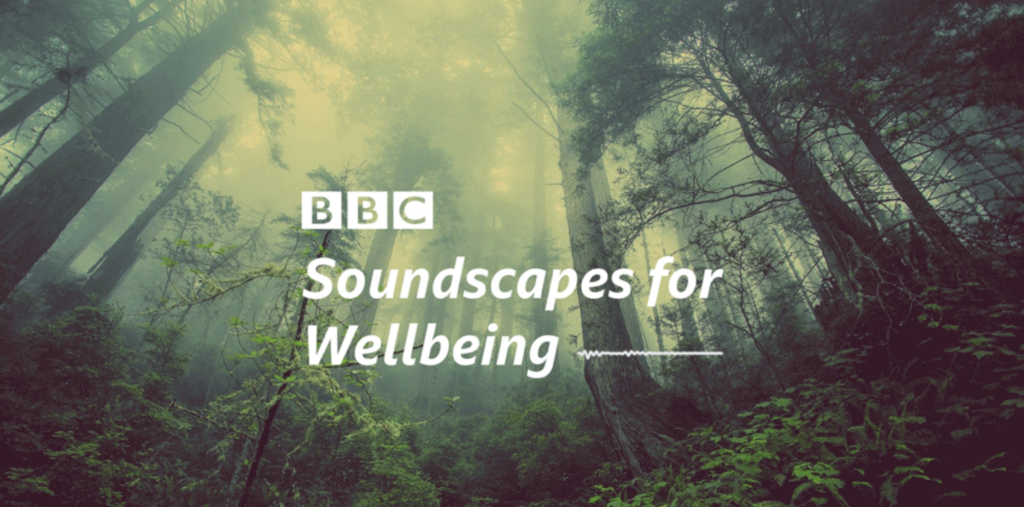 Soundscapes for Wellbeing
