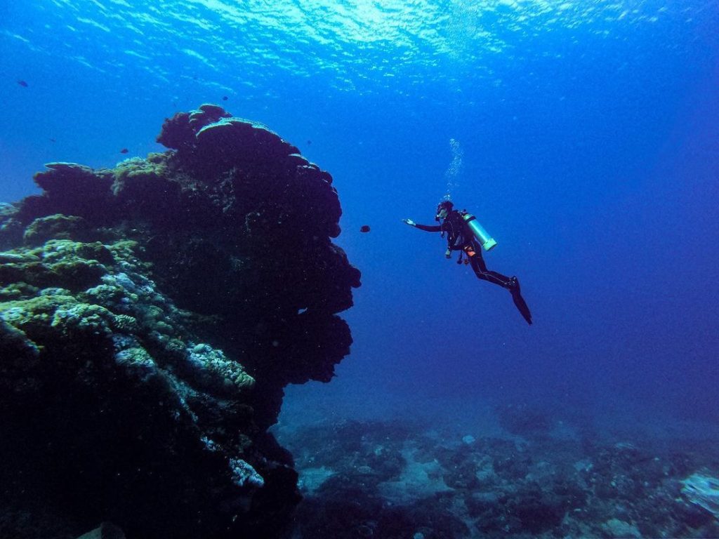 綠島石朗浮潛活體珊瑚