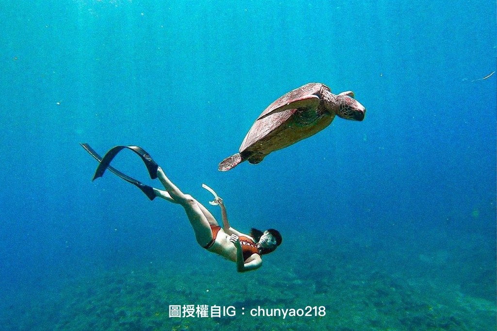 小琉球海洋景點全攻略：游泳、戲水、浮潛、與海龜共游