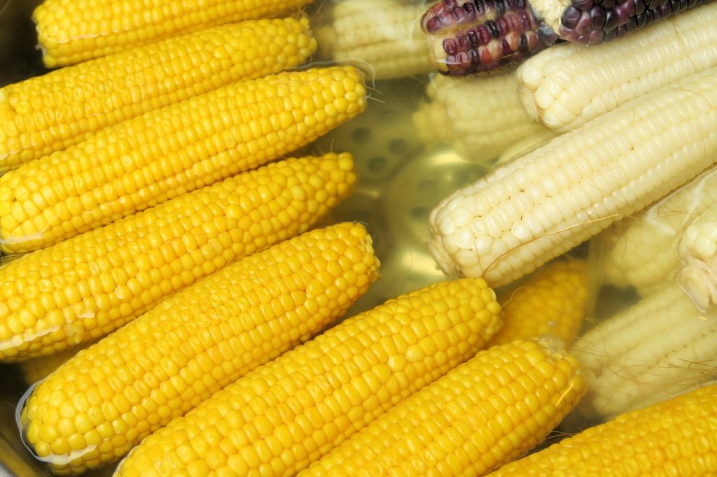 corn, vegetable, night market-3195927.jpg